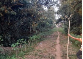 Pemilik Kebun Laporkan Penggusuran Lahan untuk Jalan oleh Kepala Desa ke Polres Lampung Timur