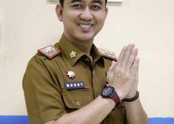 “SAHABAT ODS”: Inovasi Dinas Kominfo Pringsewu untuk Transparansi dan Aksesibilitas Data Publik