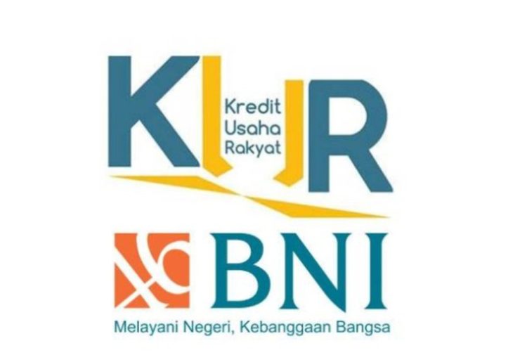Banyak Pilihan Tenor, Ini Detail Angsuran KUR BNI Skema Pengajuan Rp50 Juta