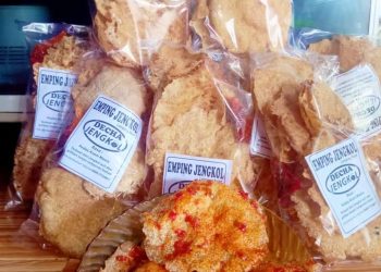 Decha Jengkol: Produksi Emping Jengkol Rumahan Pertama di Lampung Barat