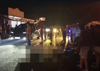 Kecelakaan Maut di Jalinbar Pringsewu: Mahasiswi Tewas di Tempat