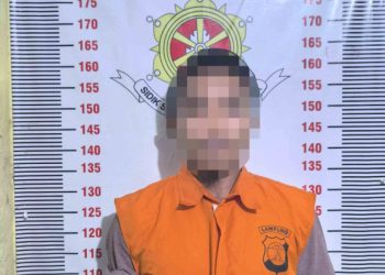 Residivis Kembali Dibekuk Polisi Usai Curi Handphone di Sidomulyo