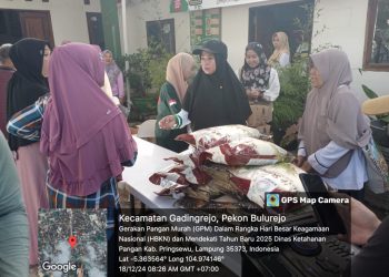Program Pangan Murah Dinas Ketahanan Pangan Pringsewu Tercatat Di 21 Titik Selama 2024