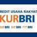 Pemilik Usaha Sudah Bisa Ajukan KUR BRI Setelah Berjalan Minimal 6 Bulan