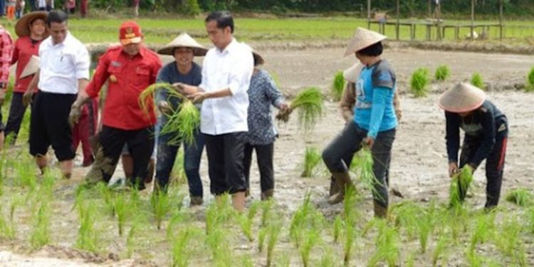 Serikat Petani Kritik Kebijakan Pemerintah yang Dinilai Merugikan Petani Sepanjang 2024