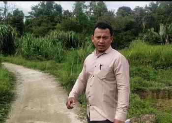 Aktivis GERMASI Soroti Kinerja Pendamping Desa Teknik Infrastruktur di Lampung Barat