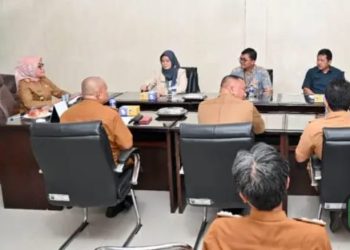 Pj Sekda Lampung Selatan Terima Audiensi Kepala Kantor Pelayanan Pajak Pratama Natar