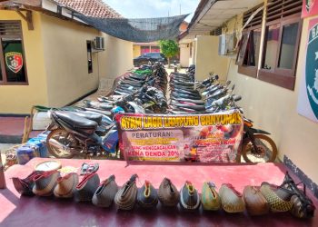 Polisi Gerebek Sabung Ayam di Banyumas, Puluhan Motor dan Ayam Aduan Disita