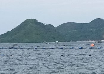 Jaring Sampah Laut Lampung Marriott Resort Diprotes, Belum Kantongi Izin KKPRL