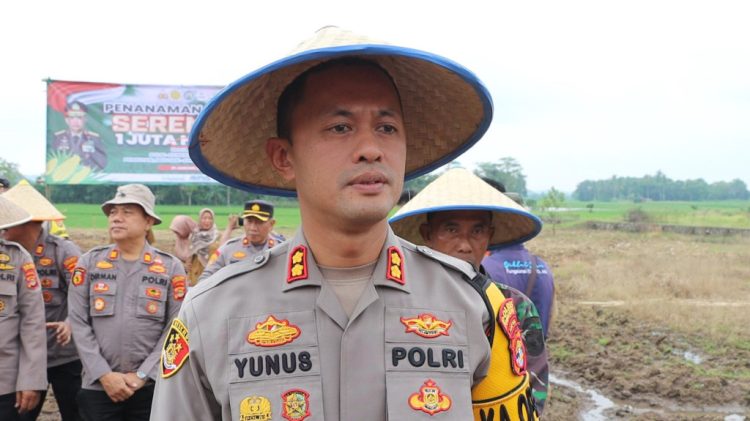 Polres Pringsewu dan Pemkab Optimalkan Ketahanan Pangan melalui Penanaman Jagung di 142 Hektare Lahan