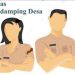 Jangan Salah! Ini Link Resmi Pendaftaran Rekrutmen Pendamping Desa 2025