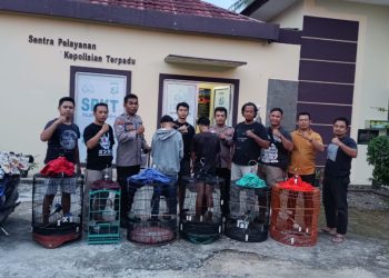 Curi Burung Murai, Dua Pelajar SMA Ditangkap Polisi di Pringsewu