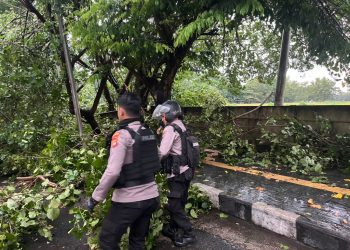 Hujan Deras dan Angin Kencang Terjang Bandar Lampung, Polda Lampung Imbau Warga Tetap Waspada