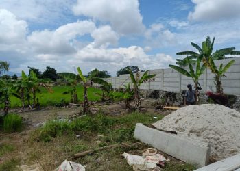 Warga Geram, Al-Kautsar Diduga Kuasai Lahan Warisan Tanpa Izin di Lampung Selatan