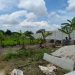Warga Geram, Al-Kautsar Diduga Kuasai Lahan Warisan Tanpa Izin di Lampung Selatan