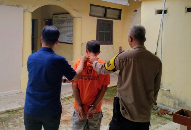 Mengaku Petugas PLN, Pria Asal Bekasi Diciduk Saat Curi Kabel Listrik di Pringsewu