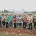 Panen Raya Cabai di Adiluwih, Bupati Pringsewu Ajak Petani Perkuat Ketahanan Pangan