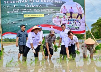 Bupati Egi Turun ke Sawah, Lampung Selatan Ambil Bagian dalam Gerakan Nasional Tanam Padi Serentak