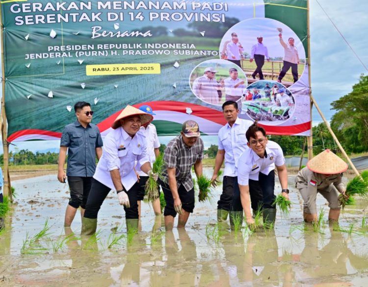 Bupati Egi Turun ke Sawah, Lampung Selatan Ambil Bagian dalam Gerakan Nasional Tanam Padi Serentak