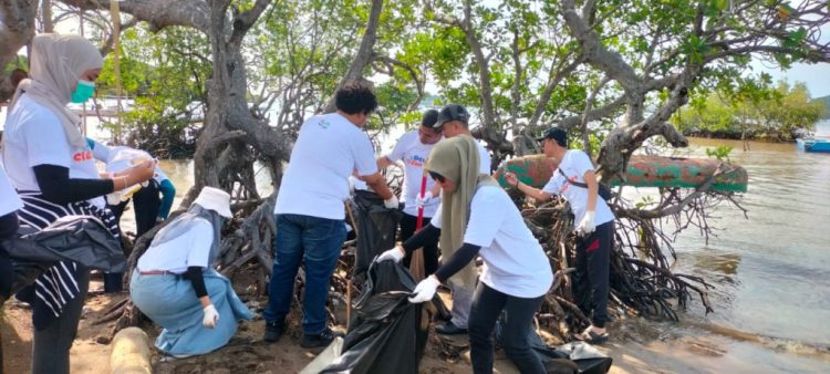PT ASDP Bakauheni Gelar Ocean Clean Up Day untuk Lestarikan Lingkungan di Pantai Mangrove