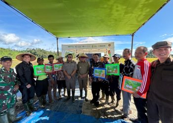 Panen Raya Padi Serentak di Tanggamus Bupati Soroti Pembangunan Irigasi dan Infrastruktur