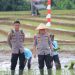 Kapolda Lampung Turun ke Sawah: Dukung Gerak Tanam Raya Padi Serentak Demi Ketahanan Pangan Nasional
