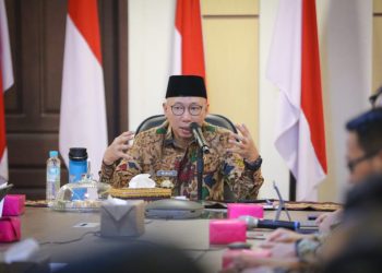 Gubernur Mirza Bersinergi dengan PLN untuk Pastikan Pasokan Listrik Sektor Pertanian dan Industri di Lampung