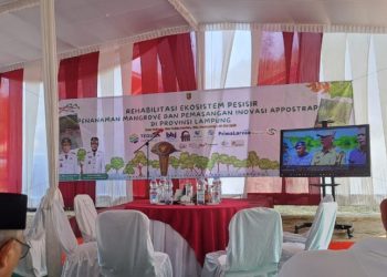 Gubernur Lampung Tanam 2.000 Mangrove, HNSI dan Tokoh Pendidikan Apresiasi Langkah Nyata Lindungi Pesisir