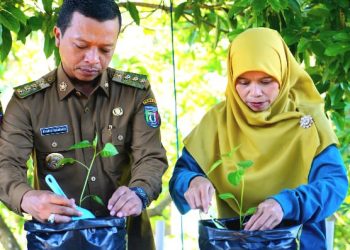 Bupati Pringsewu Canangkan Gerakan Tanam Cabai Serentak, Dorong Ketahanan Pangan dan Ekonomi Lokal