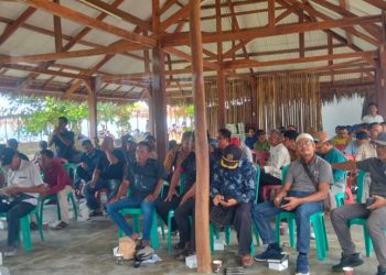 Petani Jagung Lampung Selatan Protes HPP Baru: Kebijakan Kadar Air Dinilai Merugikan