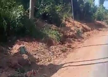 LK 21 Apresiasi Langkah BMBK Hentikan Sementara Proyek Kabel Bawah Tanah PLN di Jalur Wisata Pesawaran