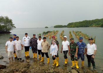 Lawan Abrasi, Gubernur Lampung Tanam 3.000 Mangrove Bersama Pelaku Usaha di Pesawaran