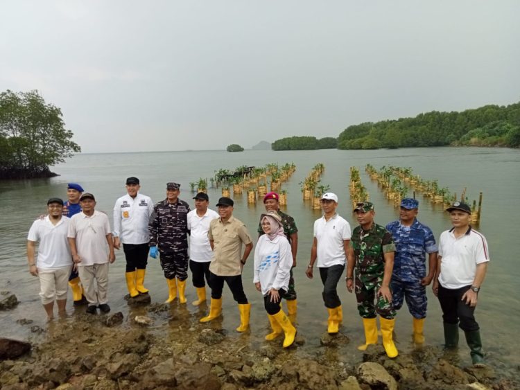 Lawan Abrasi, Gubernur Lampung Tanam 3.000 Mangrove Bersama Pelaku Usaha di Pesawaran