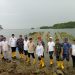 Lawan Abrasi, Gubernur Lampung Tanam 3.000 Mangrove Bersama Pelaku Usaha di Pesawaran