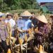 Panen Raya Jagung di Penengahan: Polres Lampung Selatan Tegaskan Komitmen Ketahanan Pangan