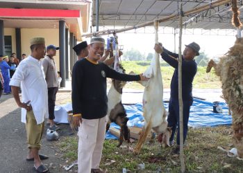 Polres Pesawaran Sembelih 9 Hewan Kurban, Wujud Kepedulian dan Spirit Iduladha