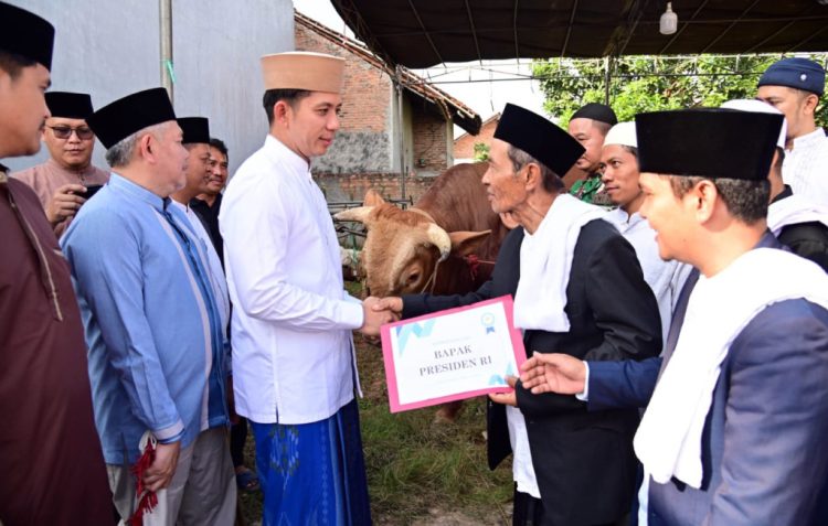 Hangatnya Kurban dari Istana: Sapi Presiden Diserahkan Bupati Egi di Fajar Baru