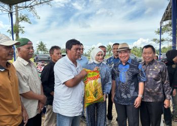 Putri Zulkifli Hasan Bantu 198 Ton Bibit Padi untuk Petani Tanggamus, Dorong Swasembada Beras Daerah