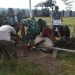 Lanal Lampung Rayakan Idul Adha dengan 10 Hewan Qurban, Tegaskan Semangat Berbagi dan Solidaritas