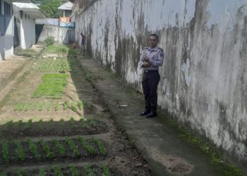 Rutan Ambon Wujudkan Penjara Masa Depan: Lahirkan Petani & Pengrajin Profesional dari Balik Jeruji!