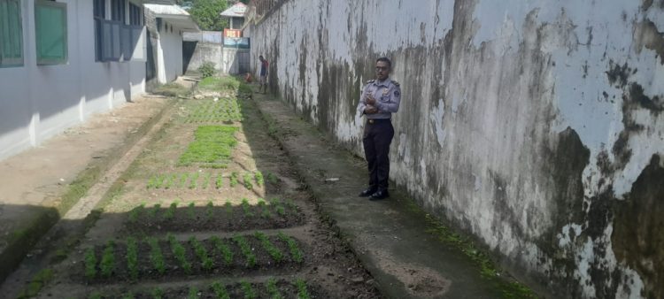 Rutan Ambon Wujudkan Penjara Masa Depan: Lahirkan Petani & Pengrajin Profesional dari Balik Jeruji!