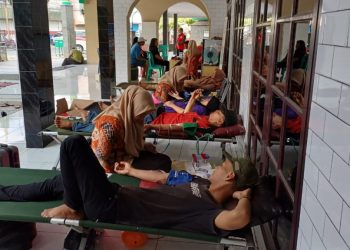 PDDI Lampung Himpun 34 Kantong Darah di Aksi Donor Hari Donor Darah se-Dunia 2025