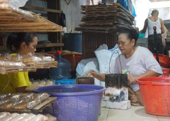 Tempe Naik Kelas: Pengrajin Siap Genjot Produksi Dukung Program Makan Bergizi Gratis