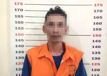 Curanmor Sapi di Kalianda Terbongkar, Tekab 308 Amankan Pelaku dan Satu Ekor Sapi Metal