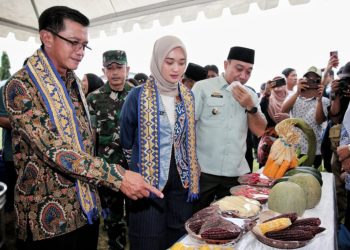 Desaku Maju Diapresiasi Kemenko PM, Pemprov Lampung Dinilai Serius Bangun Ekosistem Ekonomi Desa