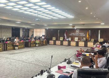 HIPMI Dukung Raperda Investasi Pemprov Lampung: Dorong Iklim Usaha Ramah UMKM dan Pengusaha Muda