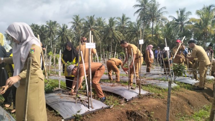 GERTAK MATA BABE: Strategi Tanggamus Tekan Inflasi Lewat Cabai dan Bawang