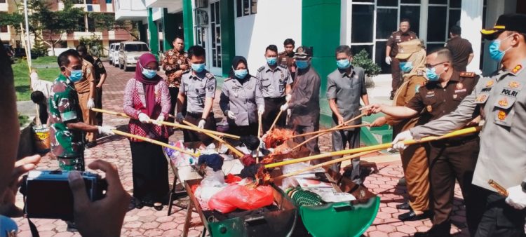 Kejaksaan Pringsewu Musnahkan Barang Bukti, Bongkar Tren Baru Penanaman Ganja Rumahan