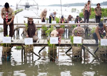 Seribu Bibit Mangrove Ditanam di Pesawaran: Gerakan Rawat Bumi Sigma 2025 Resmi Digas!