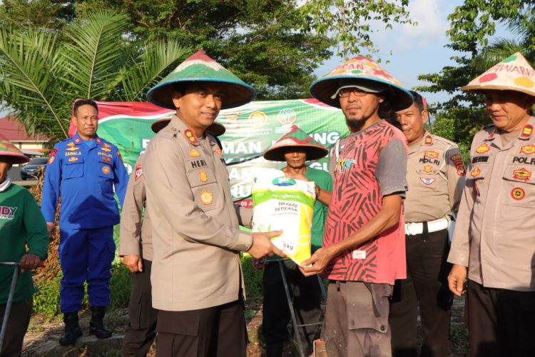 Tanam Jagung, Tanam Harapan: Polres Pesawaran Turun Sawah Dukung Ketahanan Pangan